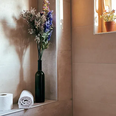 宾馆 Gaia Aparthotel Near Airport *