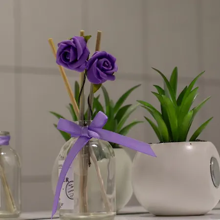 宾馆 Gaia Aparthotel Near Airport